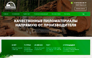 Корпоративный сайт под ключ export-omsk.ru